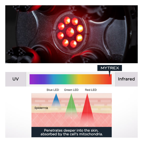 EHSP-scalp-massager-red-light-wavelength-penetration
