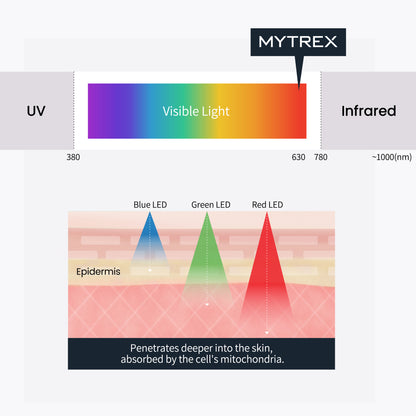 EMS-HEAD-SPA-PRO-MYTREX-5